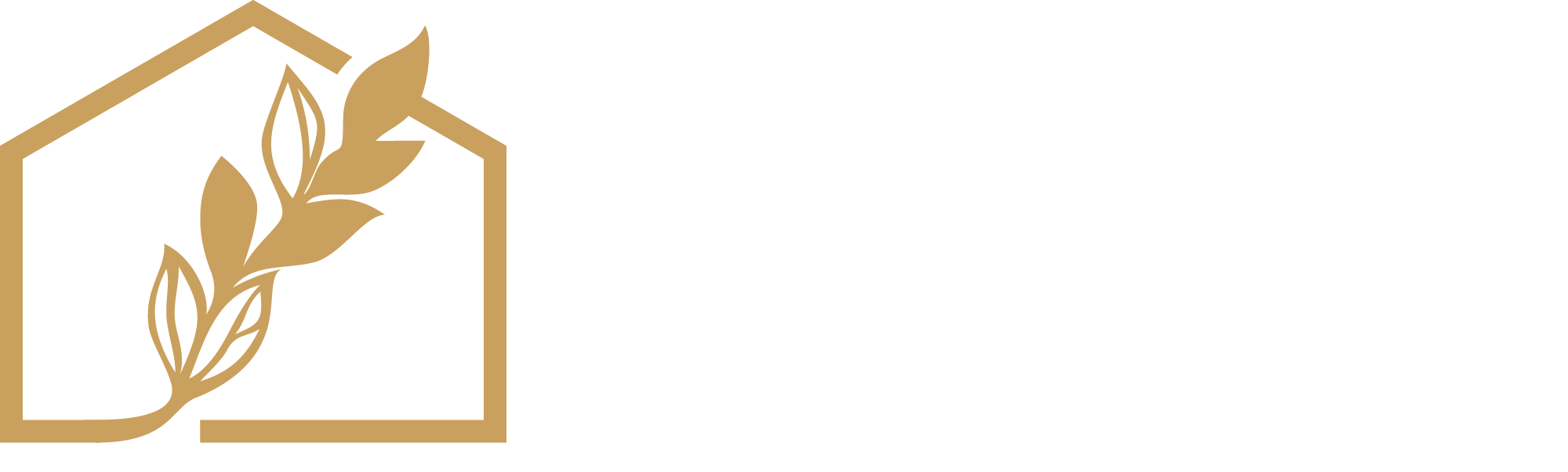Better Build and Design - Transparent LogoAsset 1
